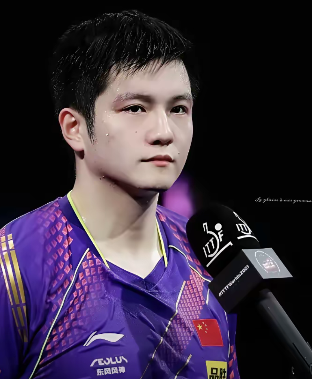 葡萄牙队逆转奥地利队，樊振东状态火热的简单介绍