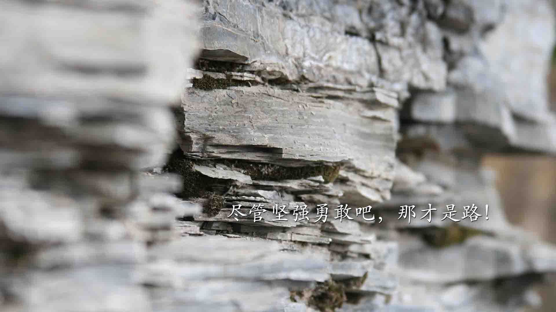 红白追击,银石三小时的最后一百米心跳决胜 记雷诺车队力克阿斯顿马丁,勒克莱尔的关键制胜