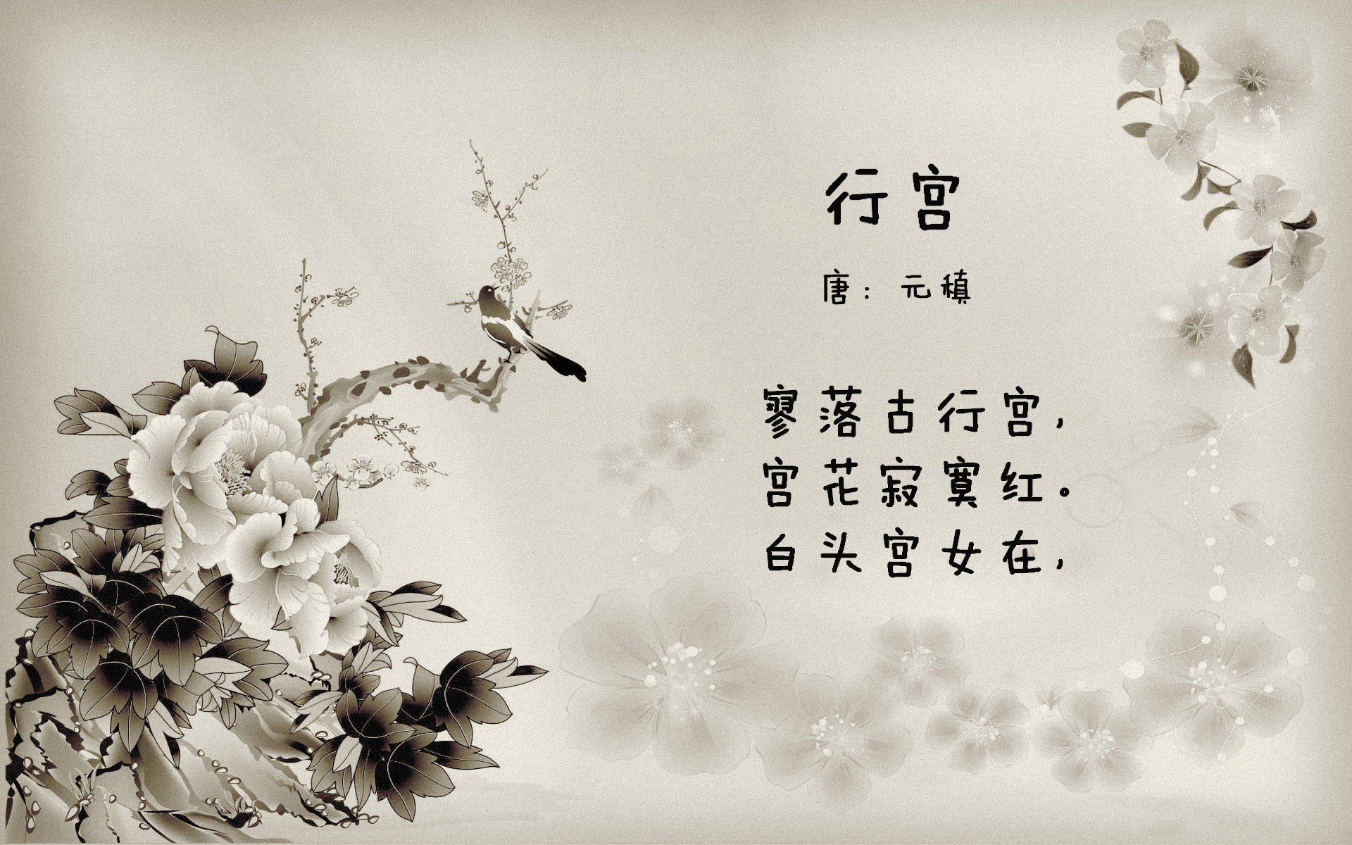 逆转的火焰，安赛龙燃爆赛场，中国队绝境翻盘德国队