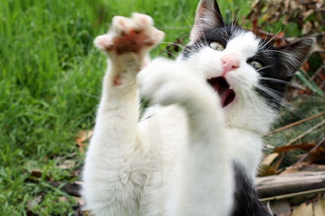 赛场内外皆英雄，独行侠轻取江苏队之夜，杜兰特刷新纪录，更刷新公益新高度