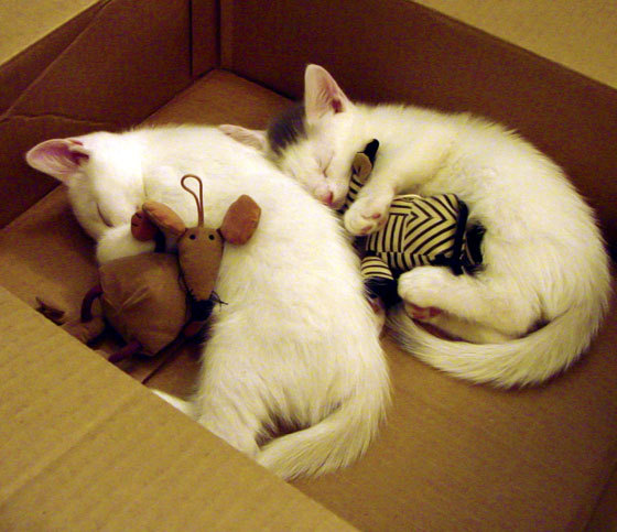 跨洲际的抢七奇观,勒沃库森如何在虚拟战场完胜中国?