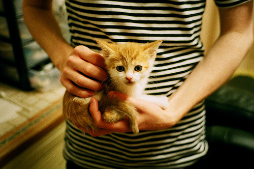 阿伯丁的雨夜,恩佐那一脚,踢碎了苏格兰四百年的足球梦