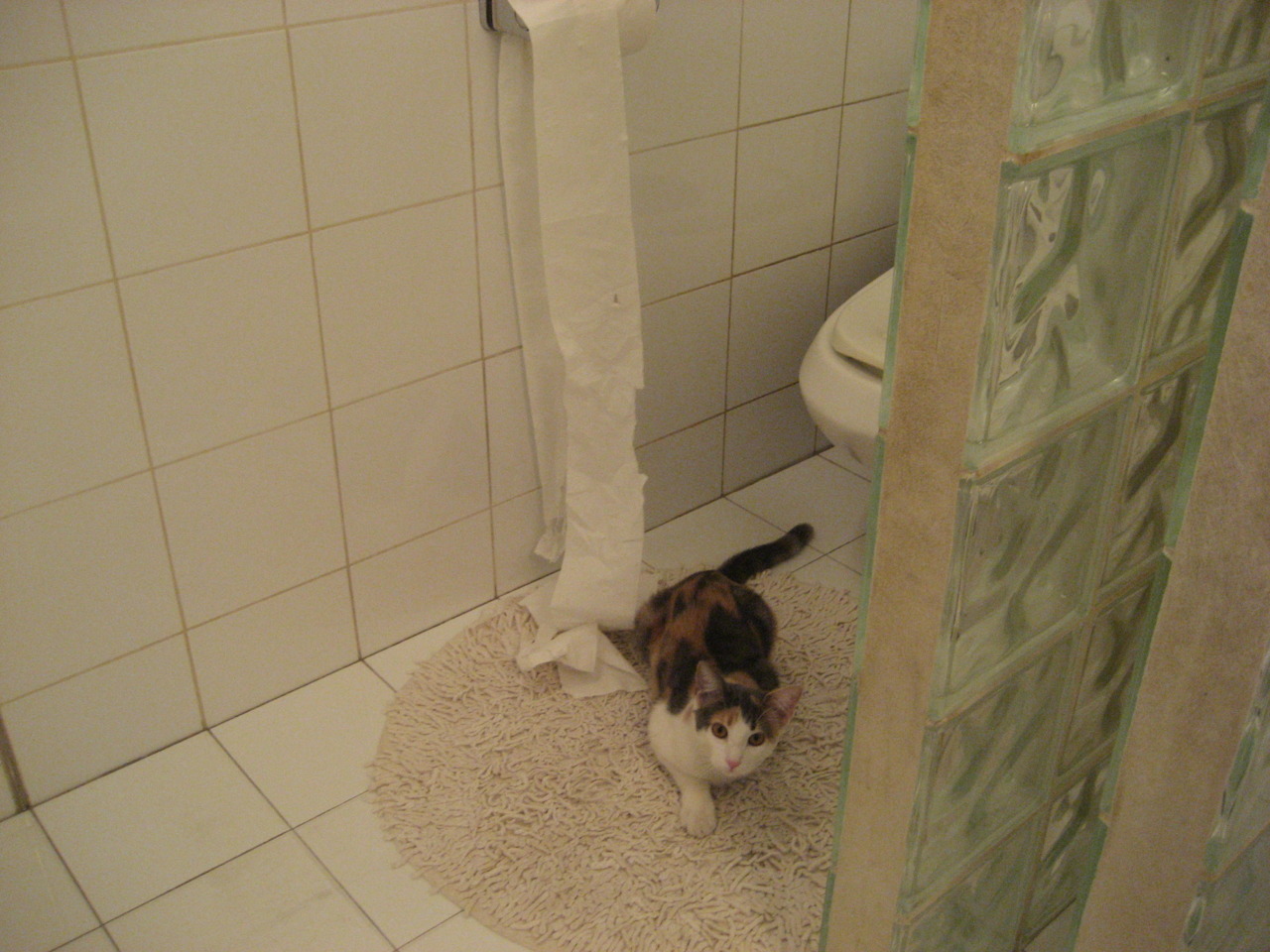 生死战卢卡库接管绿茵，逆风局哥斯达黎加绝地翻盘埃及