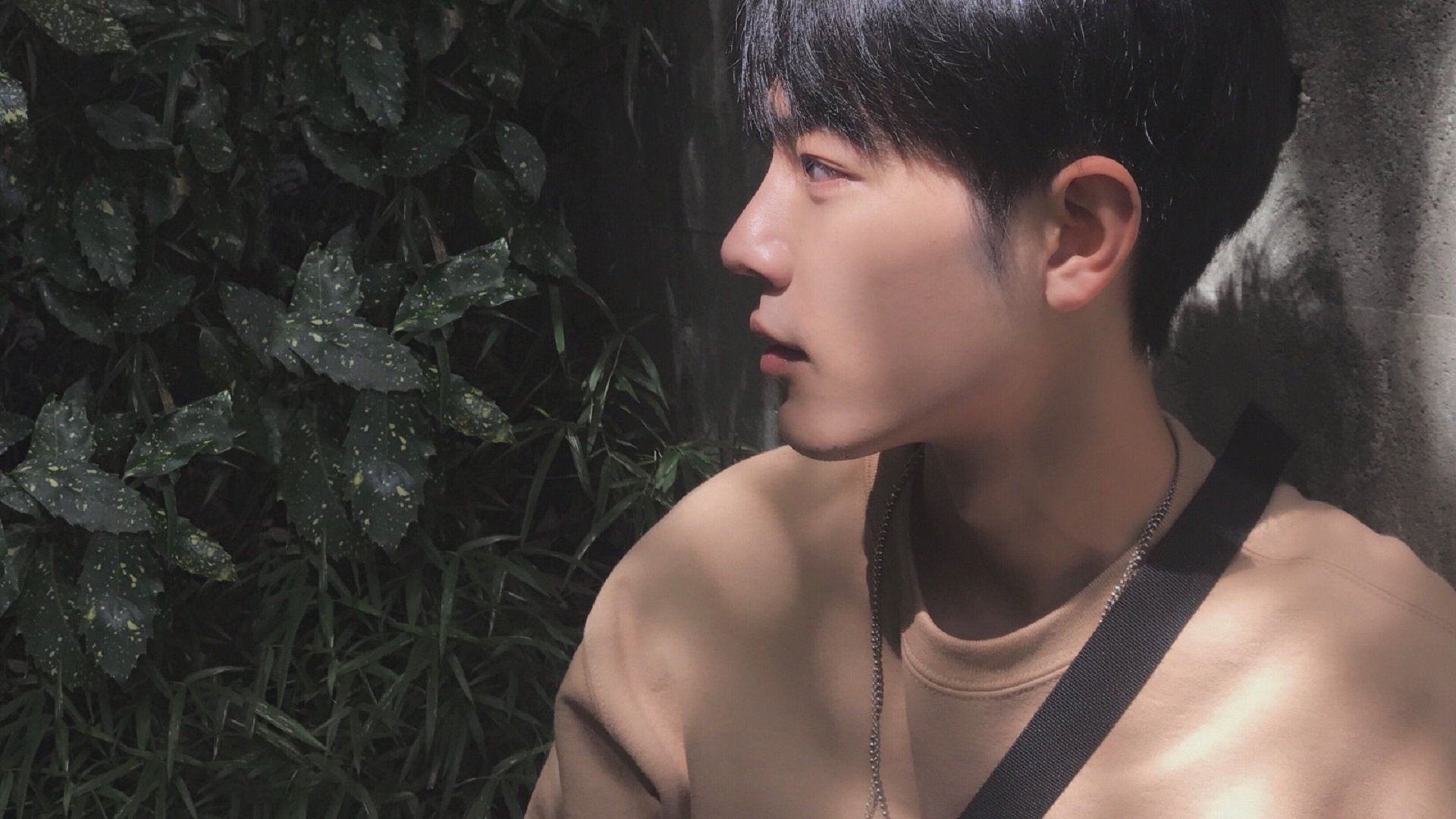 铁腰锁山河,法比尼奥的战争与加纳的十五分钟闪电战