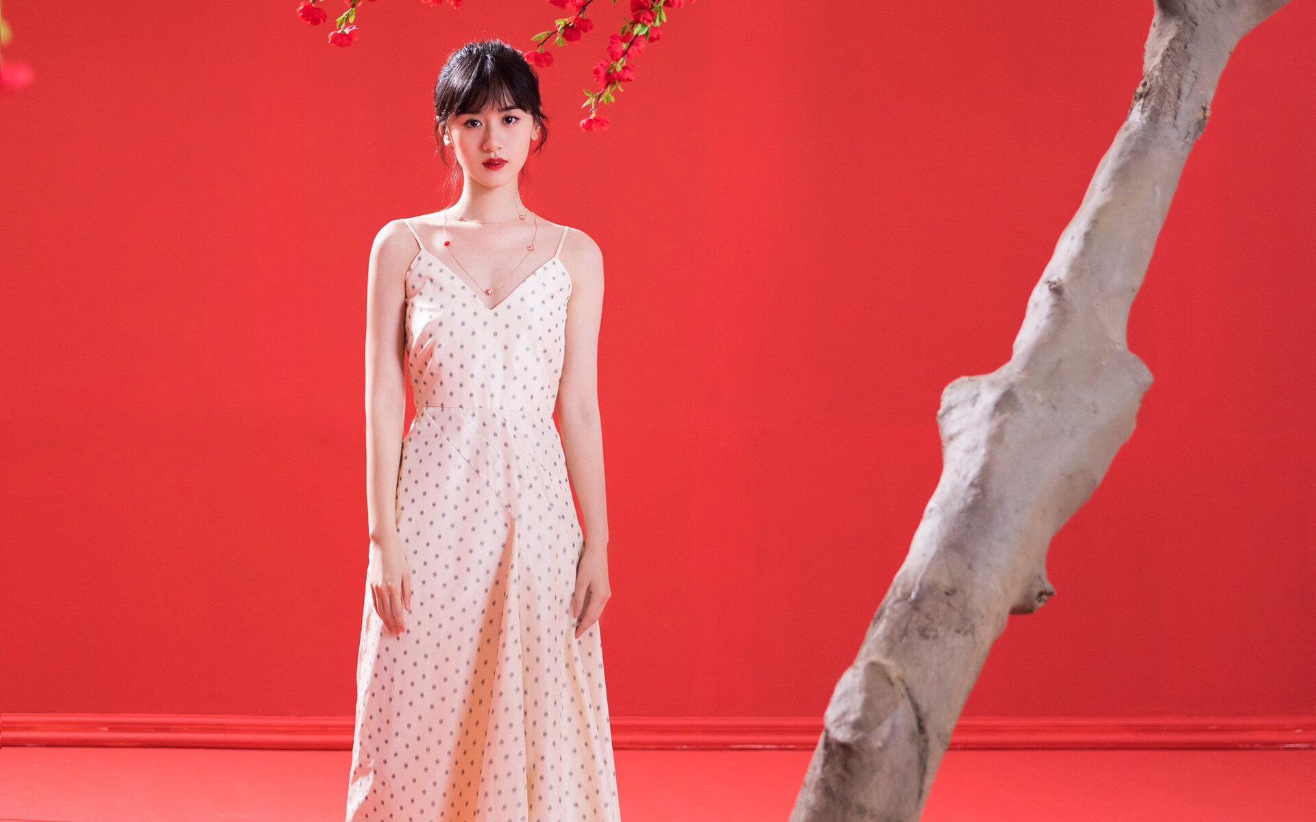 平行绿茵,卢卡库跨界执教,安哥拉奇迹逆转乌拉圭