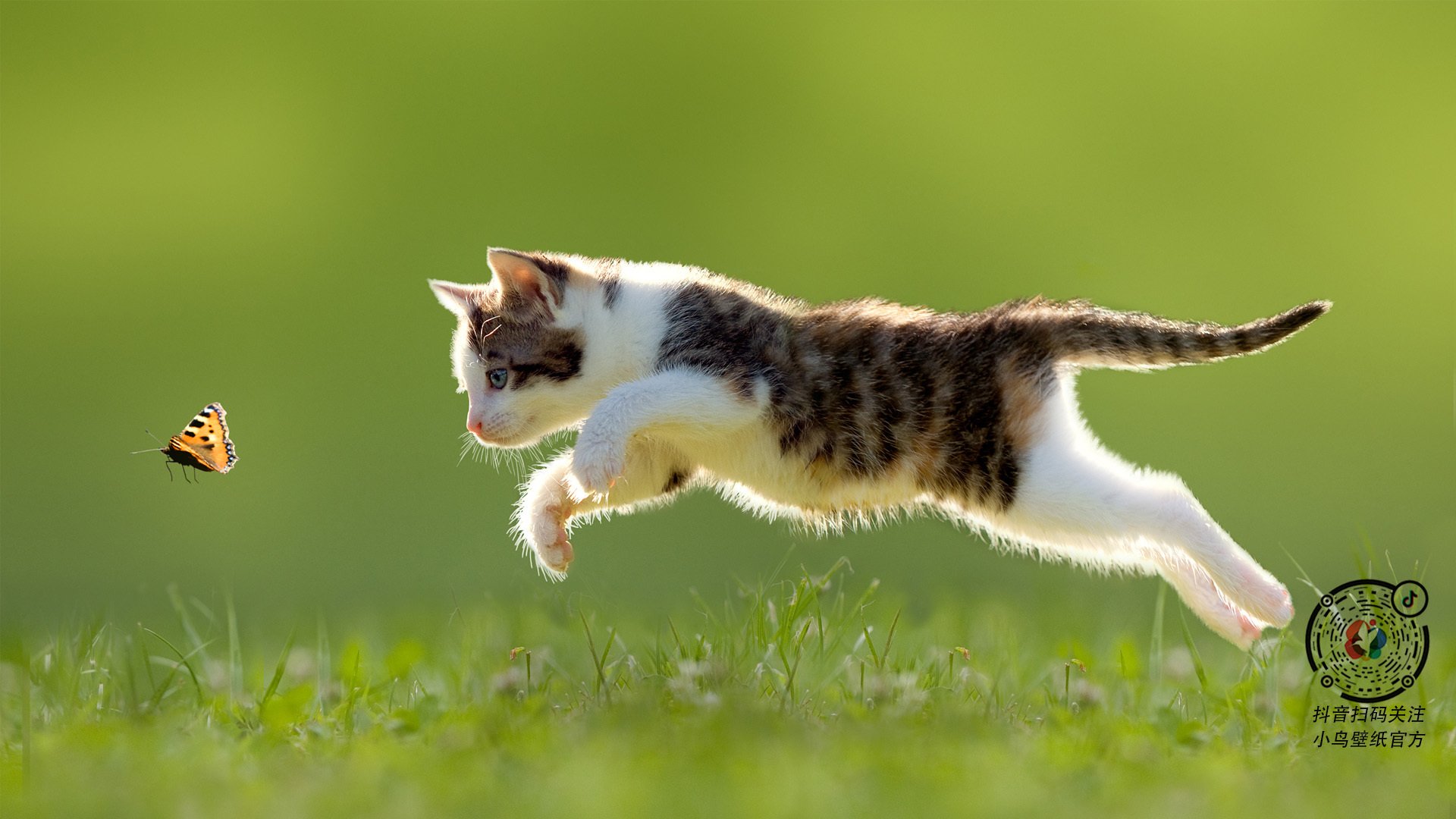 焦点时刻，卡塞米罗的证明与威尔士的爆发