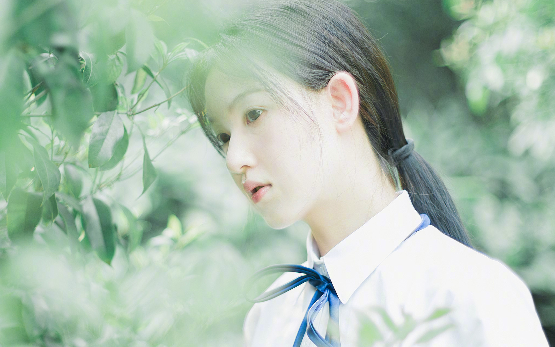 绿茵意志的黄昏与炮火,为何人人渴望见证C罗的绝唱与大黄蜂的血战?