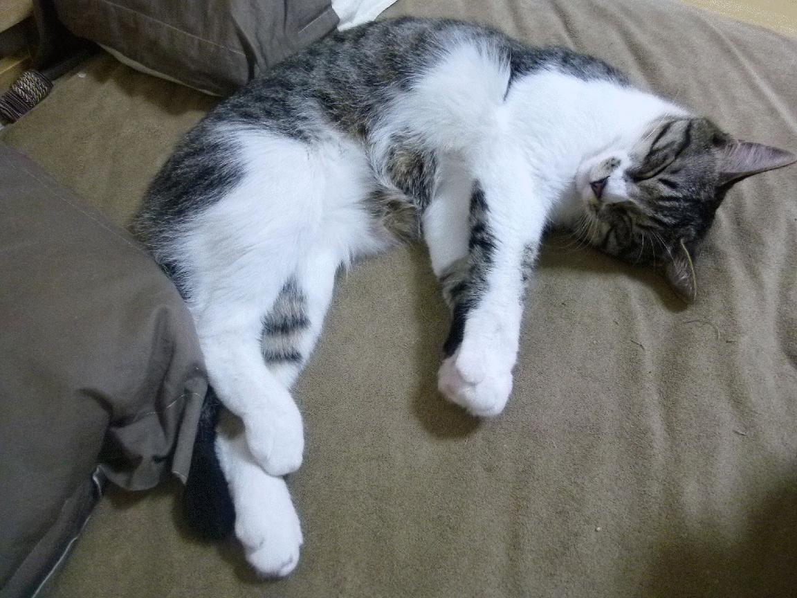 尼克斯利刃打穿风城，爱德华兹冷箭封喉