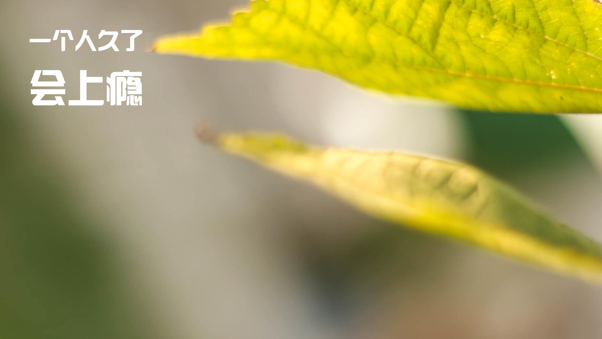 2026世界杯的商业焦点战，尼克斯如何以团队韧性淘汰火箭式个人英雄主义