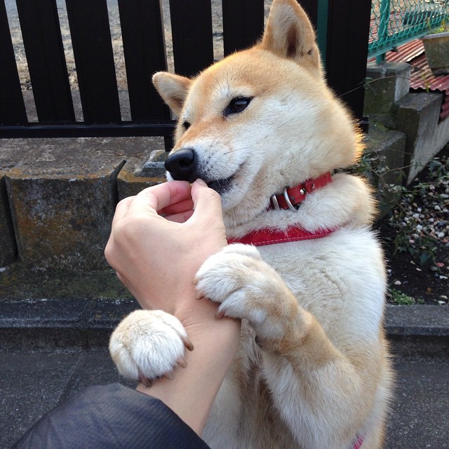 双重震撼夜，巴尔韦德生涯杰作与摩洛哥寒流席卷蓝桥