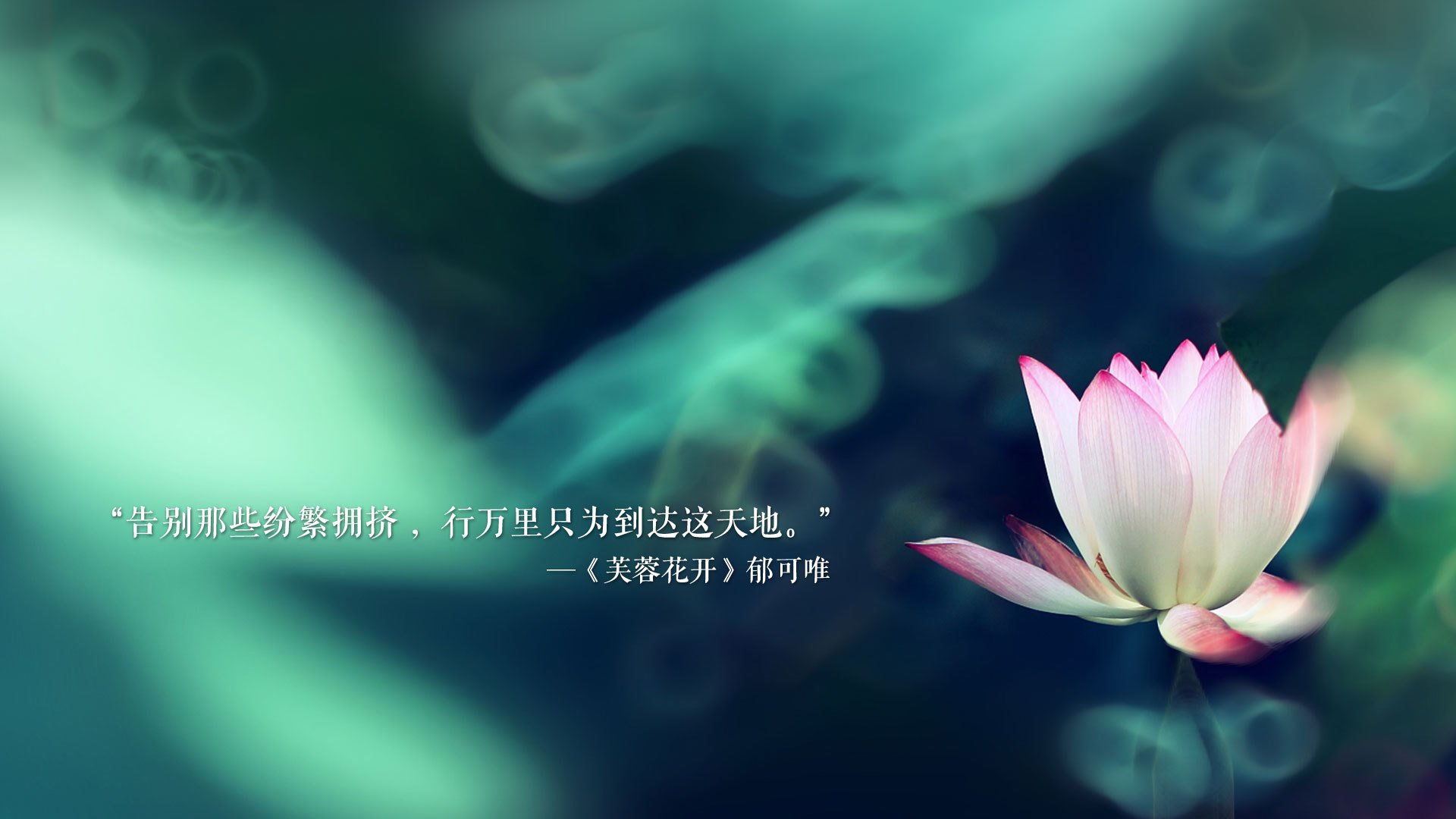 沙漠中的闪电，2026世界杯H组，巴西险胜伊朗，哈基米完成致命一击