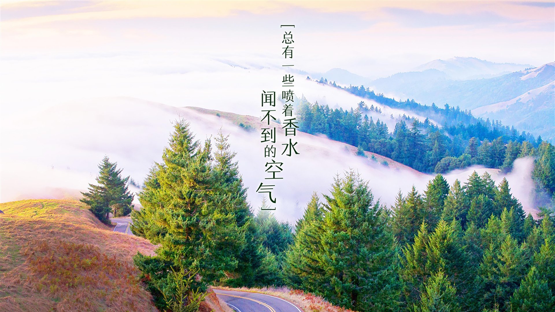 逆战2026,美利坚的钢铁意志,与B费那抹划破长空的葡萄牙之光