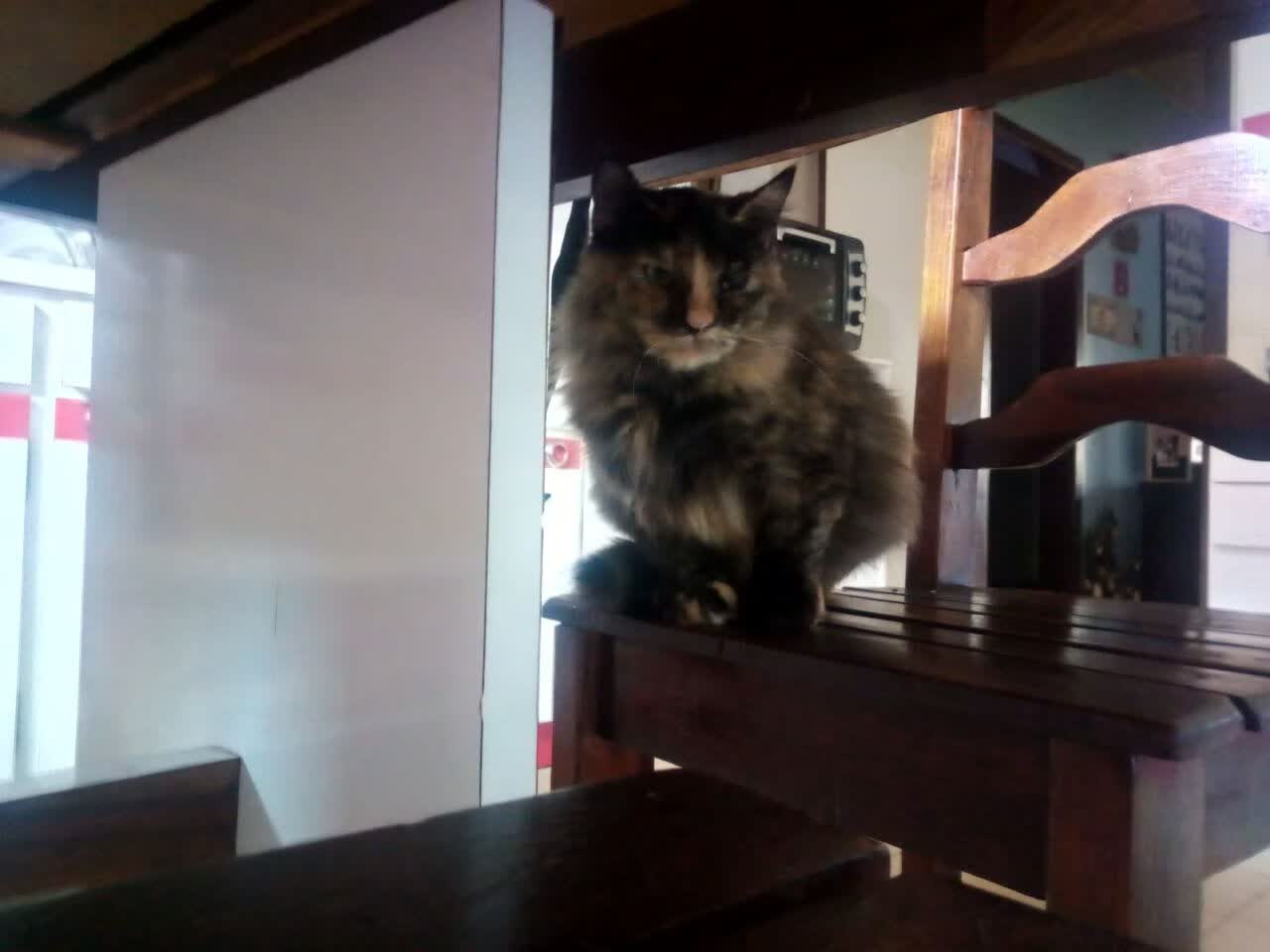 铁幕下的魔术，齐耶赫撕裂葡萄防线，强硬泰国虽败犹荣